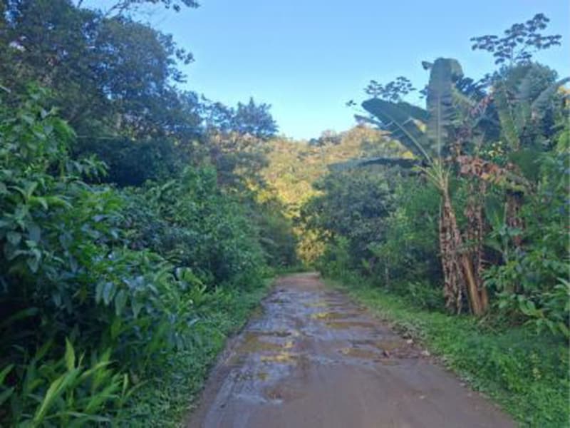 Terreno - Caraguatatuba - SP, localizado em Caraguatatuba - SP, bairro Massaguacu