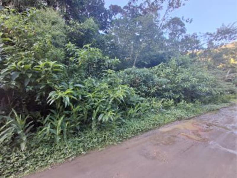 Terreno - Caraguatatuba - SP, localizado em Caraguatatuba - SP, bairro Massaguacu