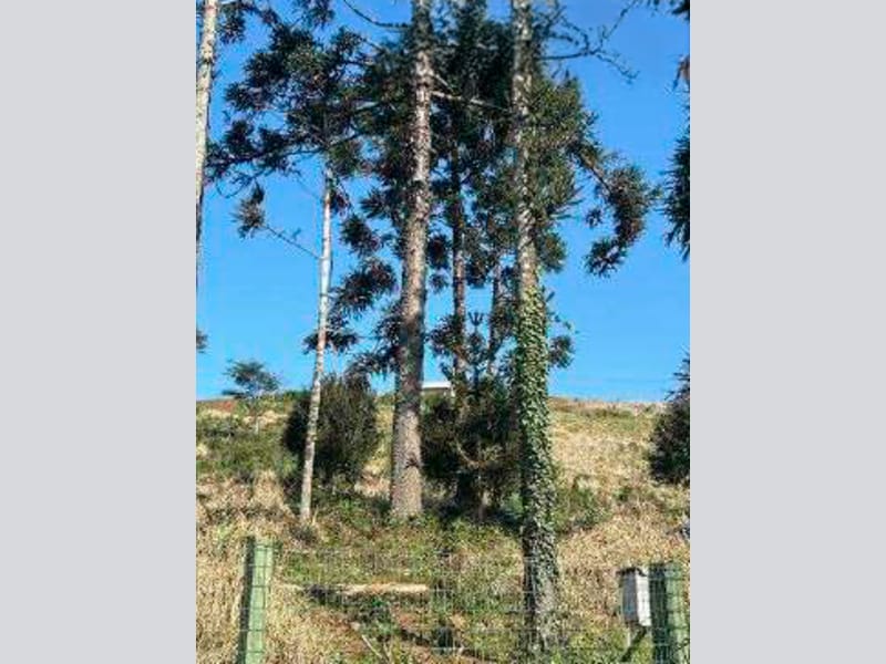 Terreno - Aratiba - RS, localizado em Aratiba - RS, bairro Jardins