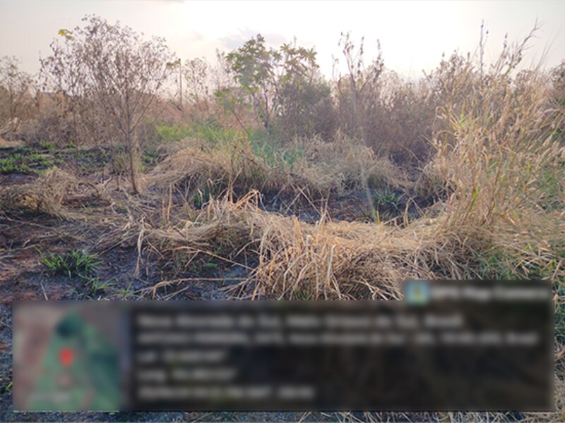 Terreno - Nova Alvorada do Sul - MS, localizado em Nova Alvorada Do Sul - MS