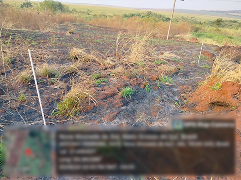 Terreno - Nova Alvorada do Sul - MS, localizado em Nova Alvorada Do Sul - MS