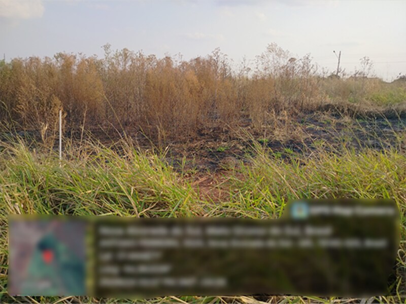 Terreno - Nova Alvorada do Sul - MS, localizado em Nova Alvorada Do Sul - MS