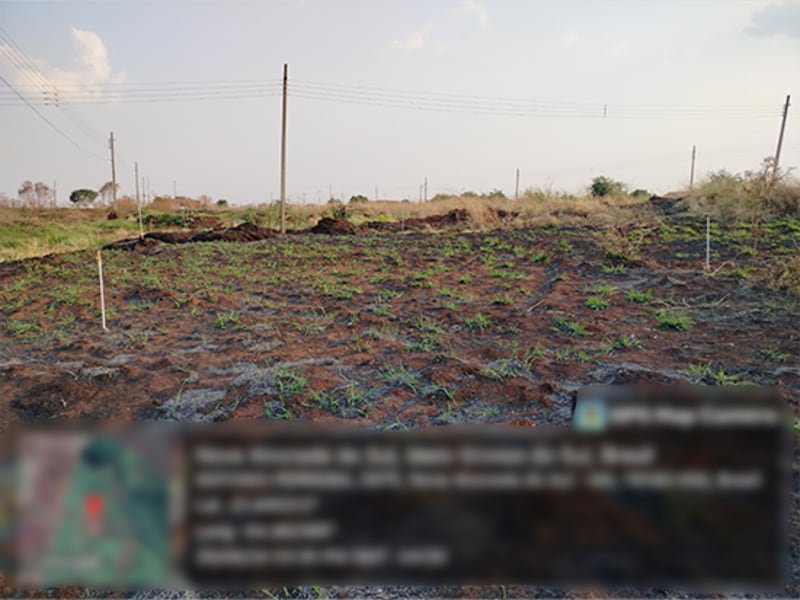 Terreno - Nova Alvorada do Sul - MS, localizado em Nova Alvorada Do Sul - MS