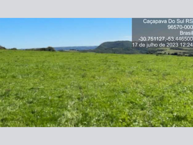 Caçapava do sul rs situado no lugar denominado fazenda sossego 27.109