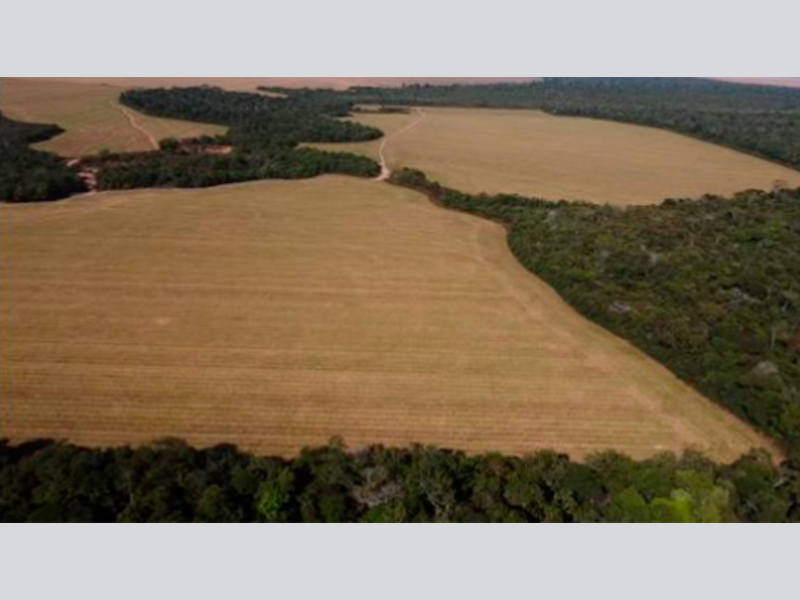 Imagem do imóvel Terreno - Vilhena - RO