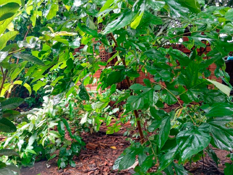 Terreno - Porto Velho - RO, localizado em Porto Velho - RO, bairro Marcos Freire