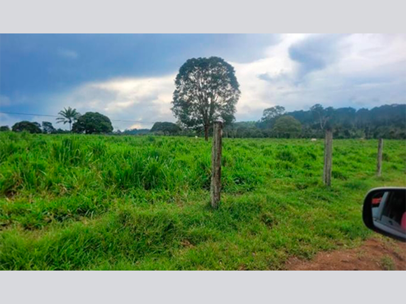 Imagem do imóvel Terreno - Apiacás - MT