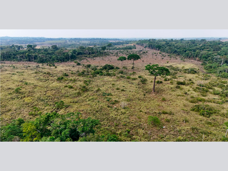 Terreno - Apiacás - MT, localizado em Apiacás - MT