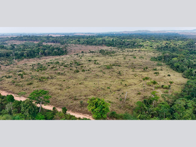 Imagem do imóvel Terreno - Apiacás - MT