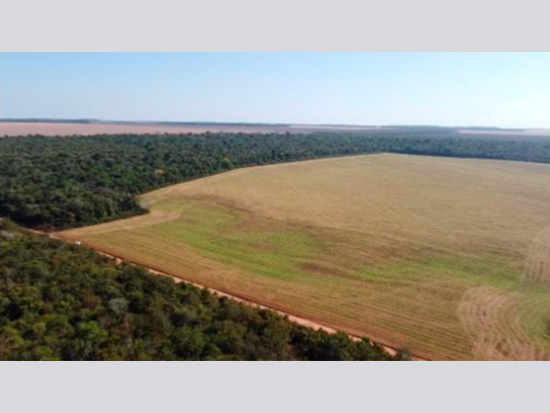 Foto de Imóvel rural 71 m² - Leilão encerrado em Vilhena/RO