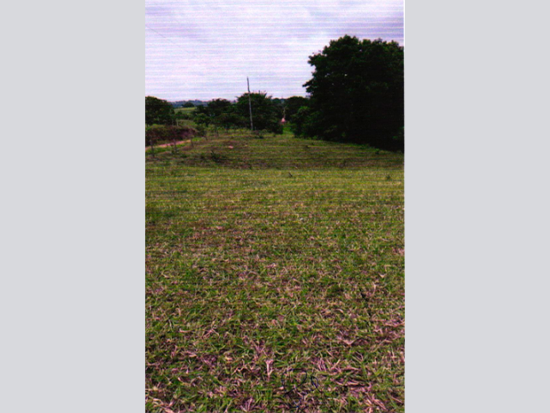 Chácara - Colorado do Oeste - RO