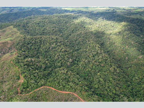 Terreno - Nova Brasilândia D'oeste - RO