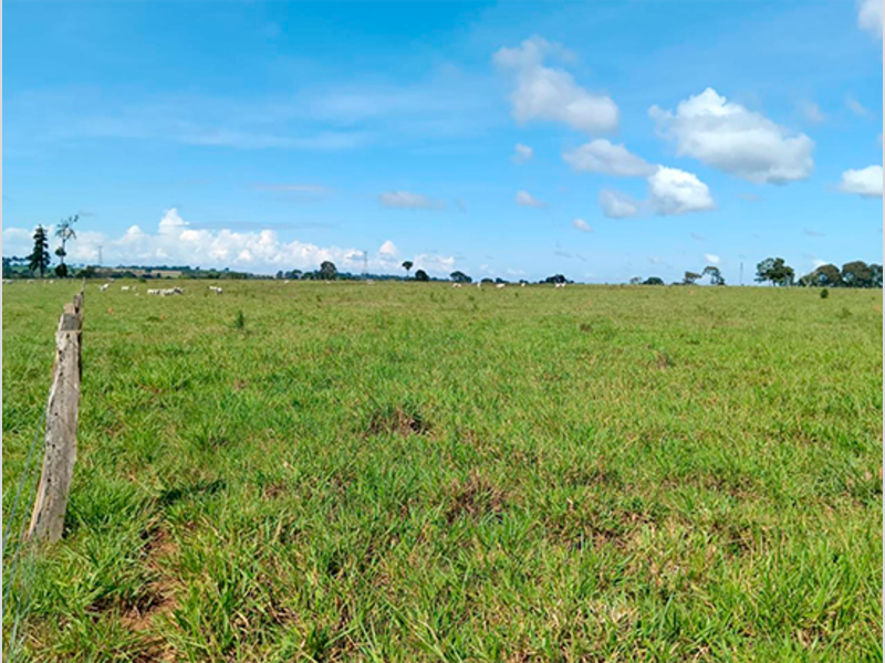 Terreno - Colorado do Oeste - RO, localizado em Colorado Do Oeste - RO