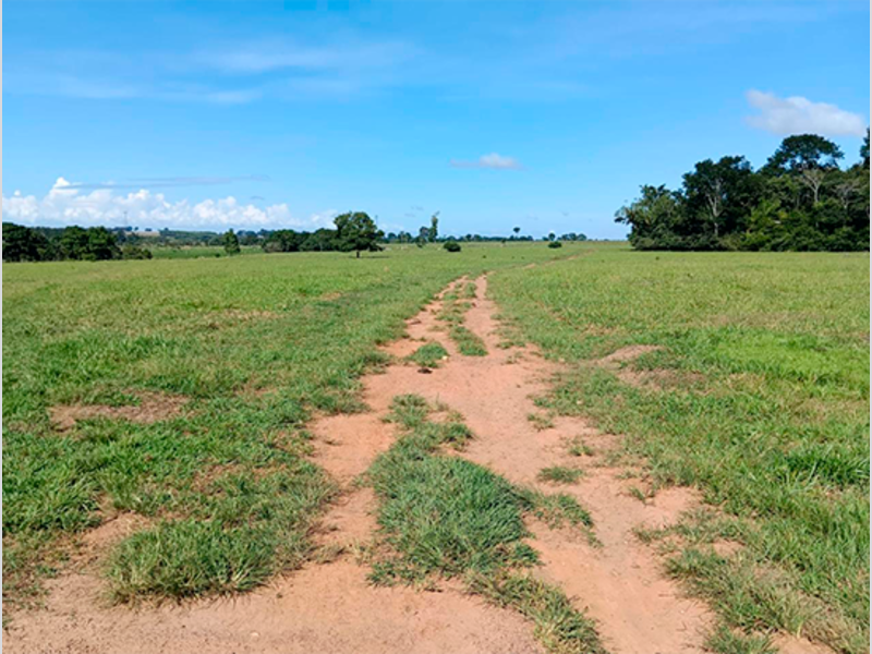 Terreno - Colorado do Oeste - RO, localizado em Colorado Do Oeste - RO