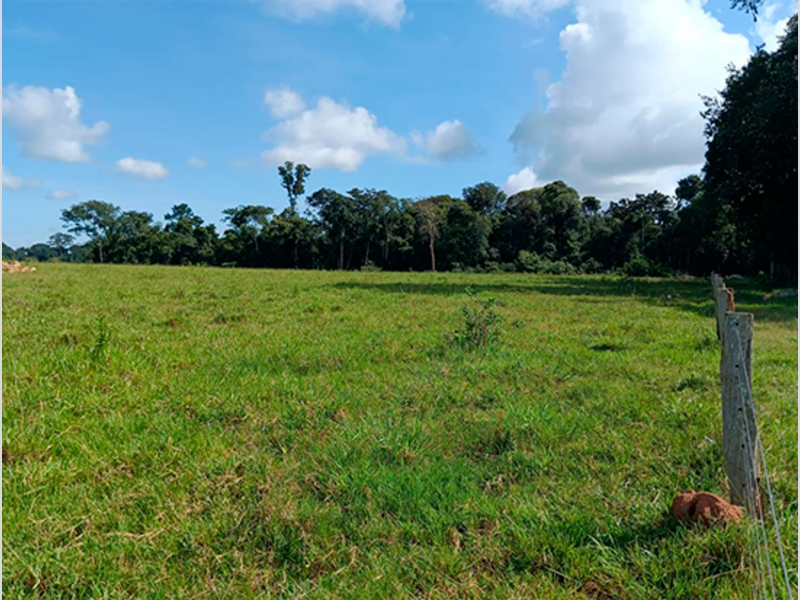Terreno - Colorado do Oeste - RO, localizado em Colorado Do Oeste - RO