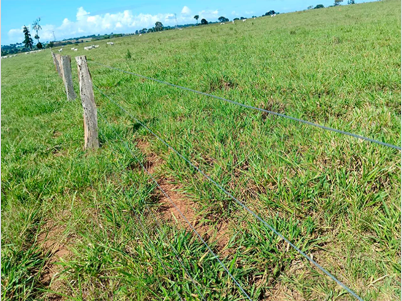 Terreno - Colorado do Oeste - RO, localizado em Colorado Do Oeste - RO