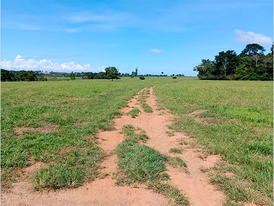 Terreno - Colorado do Oeste - RO