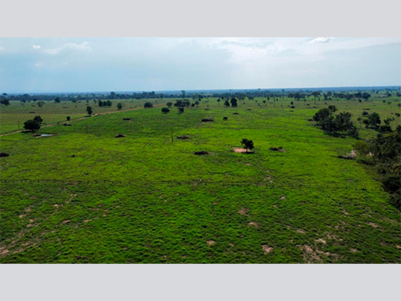 Imagem do imóvel Terreno - Alta Floresta D'oeste - RO