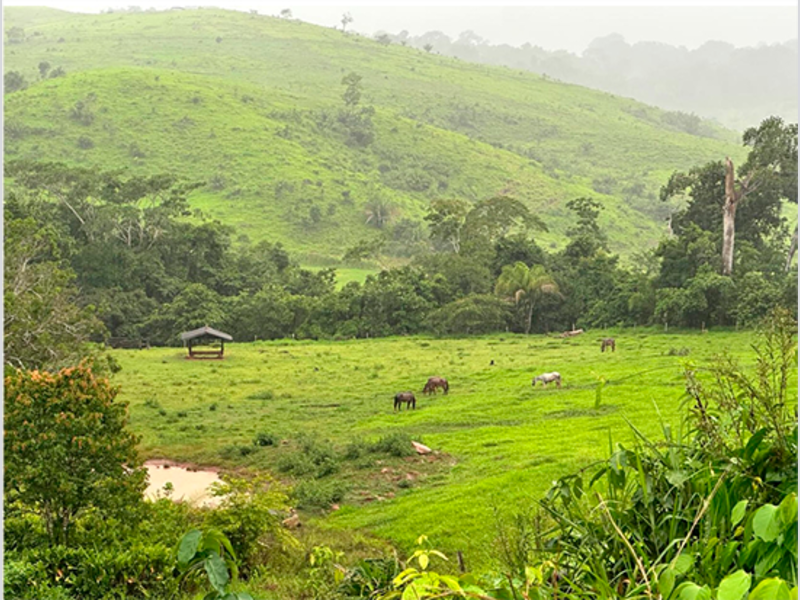 Imagem do imóvel Terreno - Alta Floresta D'oeste - RO