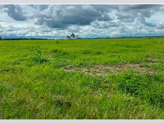 Foto de Imóvel rural 48 m² - Leilão encerrado em Cacoal/RO
