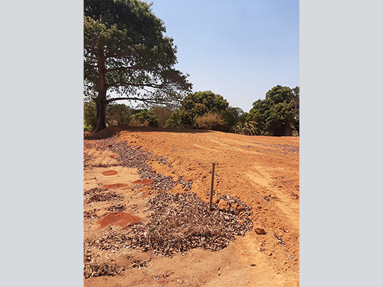 Terreno - Tabaporã - MT