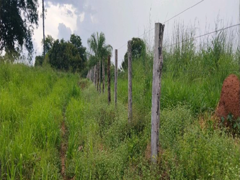 Terreno - Sítio Novo - MA, localizado em Sítio Novo - MA