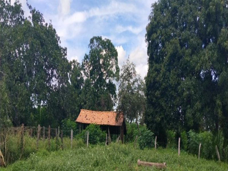 Terreno - Sítio Novo - MA, localizado em Sítio Novo - MA