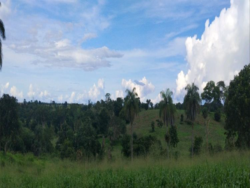 Terreno - Sítio Novo - MA, localizado em Sítio Novo - MA