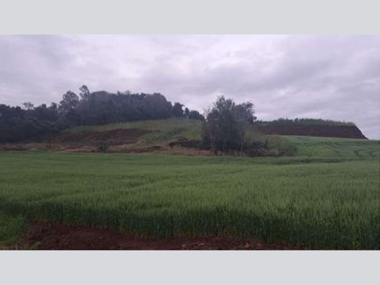 Imóvel rural em leilão em Capitão Leônidas Marques