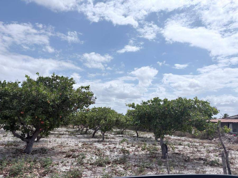 Loteamento - Pacajus - CE, localizado em Pacajus - CE, bairro Tiririca