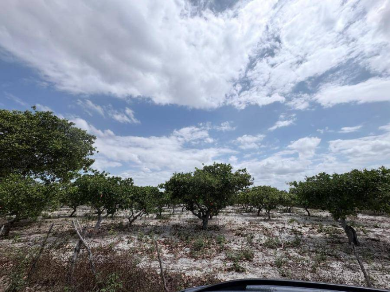 Loteamento - Pacajus - CE, localizado em Pacajus - CE, bairro Tiririca