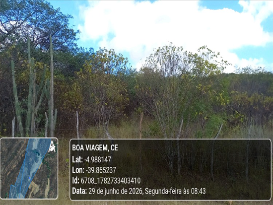 Imóvel rural em leilão em Boa Viagem