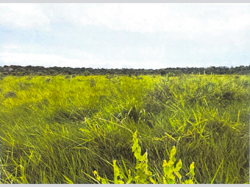 Terreno - São Félix do Araguaia - MT, localizado em São Félix Do Araguaia - MT