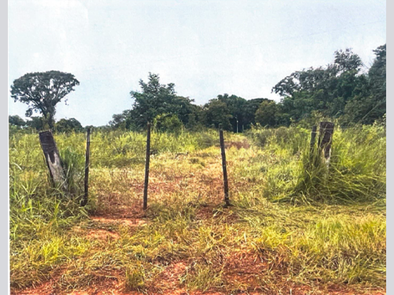 Terreno em Leilão em São Félix Do Araguaia / MT - 180210