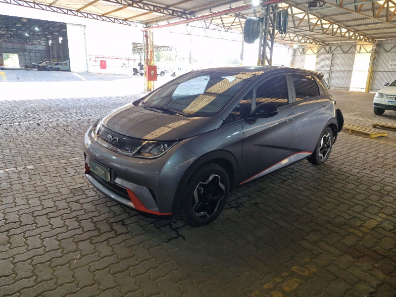 Byd Dolphin 2026 em leilão