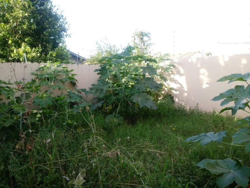 Casa - Campo Grande - MS, localizado em Campo Grande - MS, bairro Nova Campo Grande