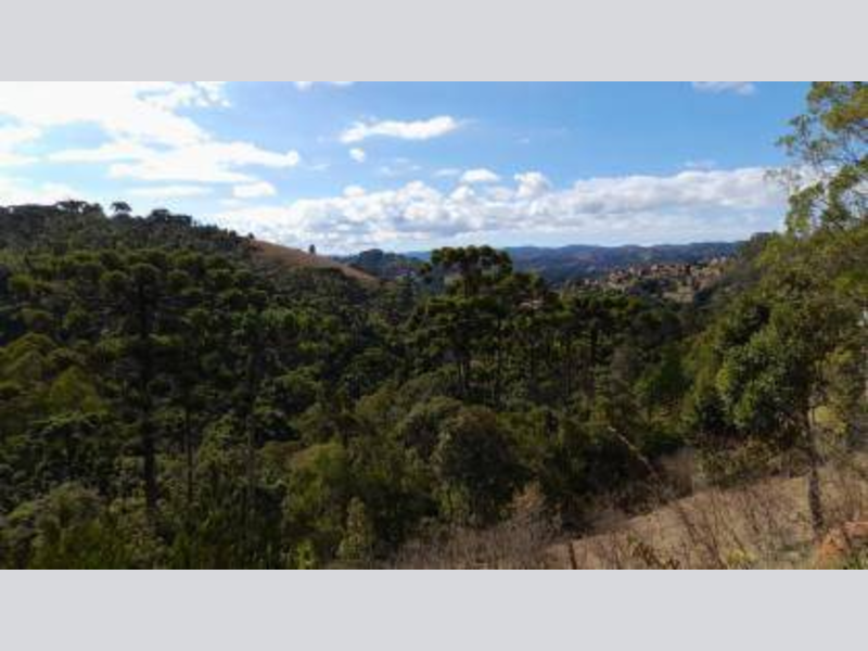 Loteamento - Campos do Jordão - SP, localizado em Campos Do Jordão - SP, bairro Alto da Boa Vista