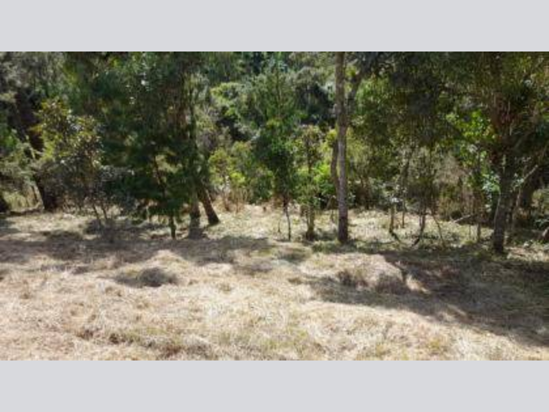 Loteamento - Campos do Jordão - SP, localizado em Campos Do Jordão - SP, bairro Alto da Boa Vista