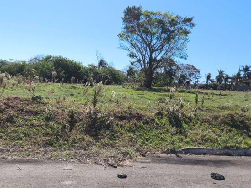 Imagem do imóvel Loteamento - Pérola - PR