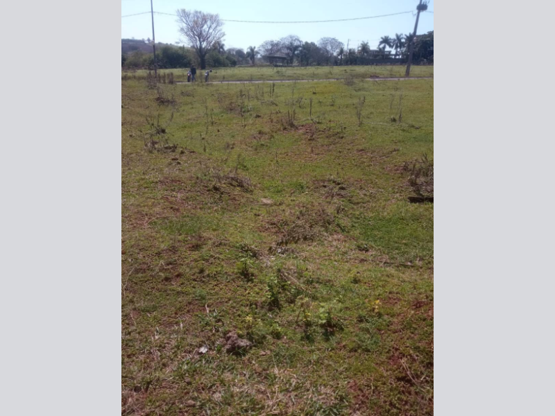 Loteamento - Pérola - PR, localizado em Pérola - PR