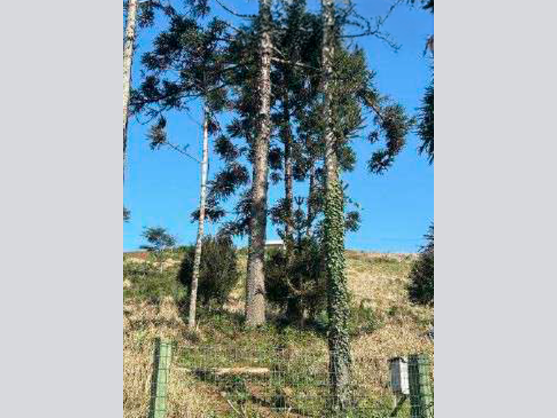 Terreno - Aratiba - RS, localizado em Aratiba - RS, bairro Jardins