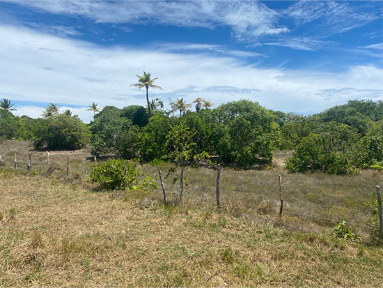Terreno em leilão em Itaporanga D'ajuda