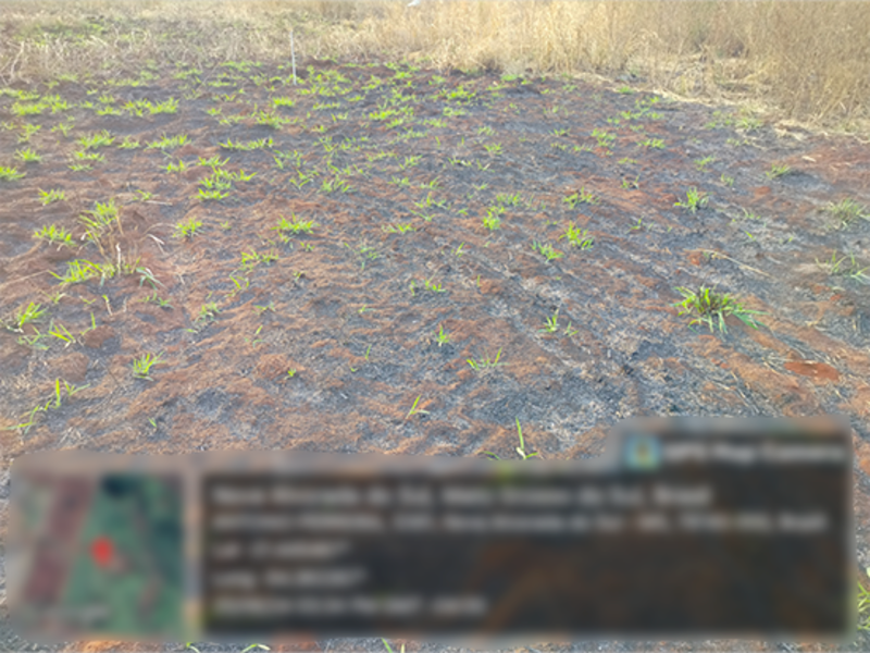 Terreno em Leilão em Nova Alvorada Do Sul / MS - 190560