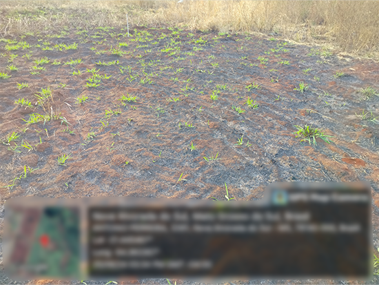 Terreno em leilão em Nova Alvorada Do Sul