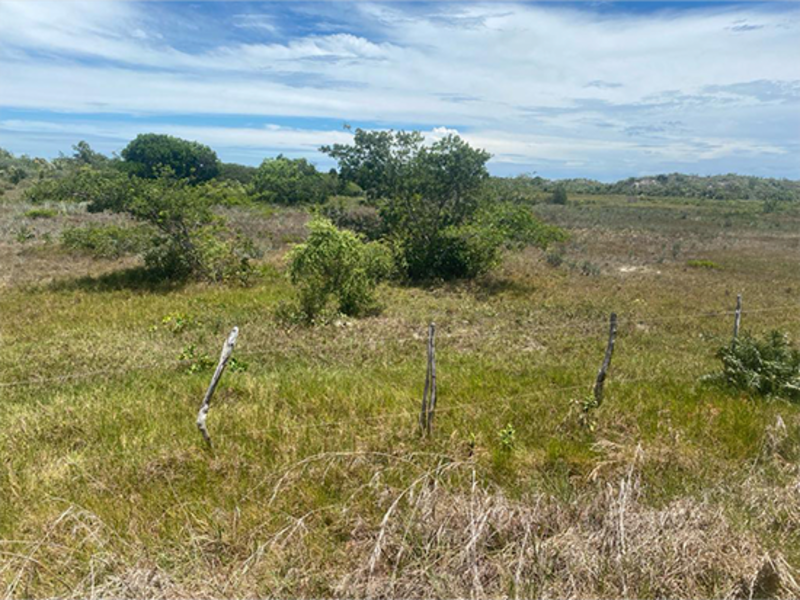 Terreno em Leilão em Itaporanga D'Ajuda / SE - 190556