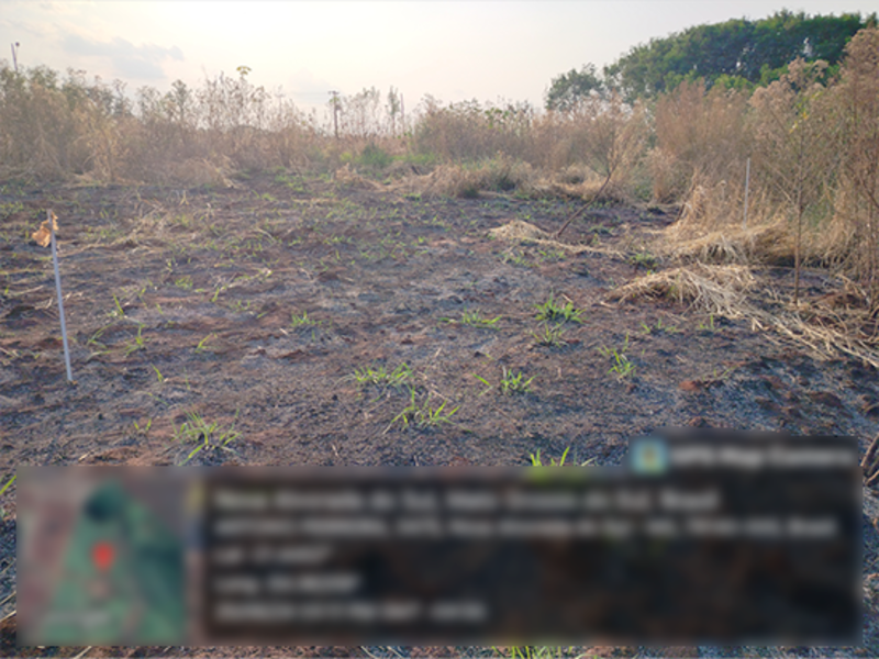 Terreno - Nova Alvorada do Sul - MS, localizado em Nova Alvorada Do Sul - MS