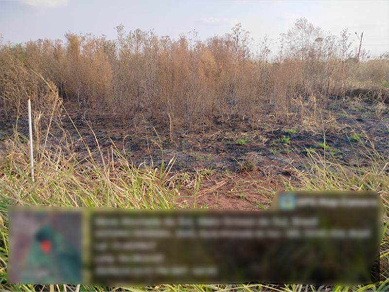 Terreno - Nova Alvorada do Sul - MS, localizado em Nova Alvorada Do Sul - MS