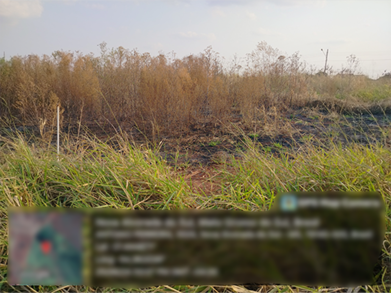 Terreno - Nova Alvorada do Sul - MS, localizado em Nova Alvorada Do Sul - MS