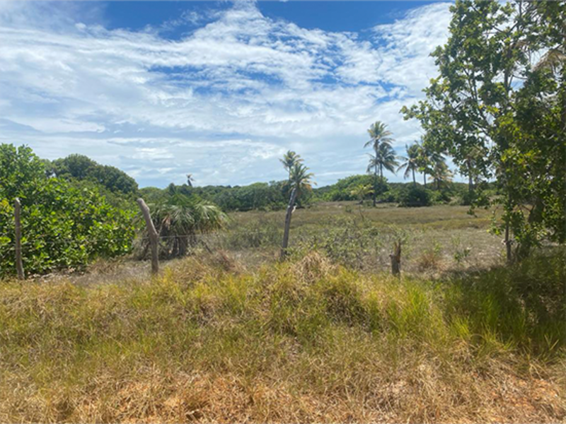 Terreno em Leilão em Itaporanga D'Ajuda / SE - 190562