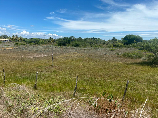 Terreno - Itaporanga D'ajuda - SE